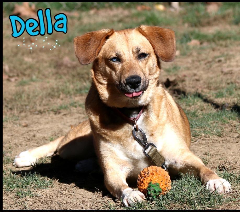 Della
