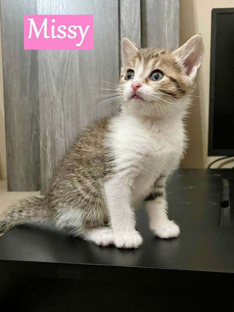 Missy