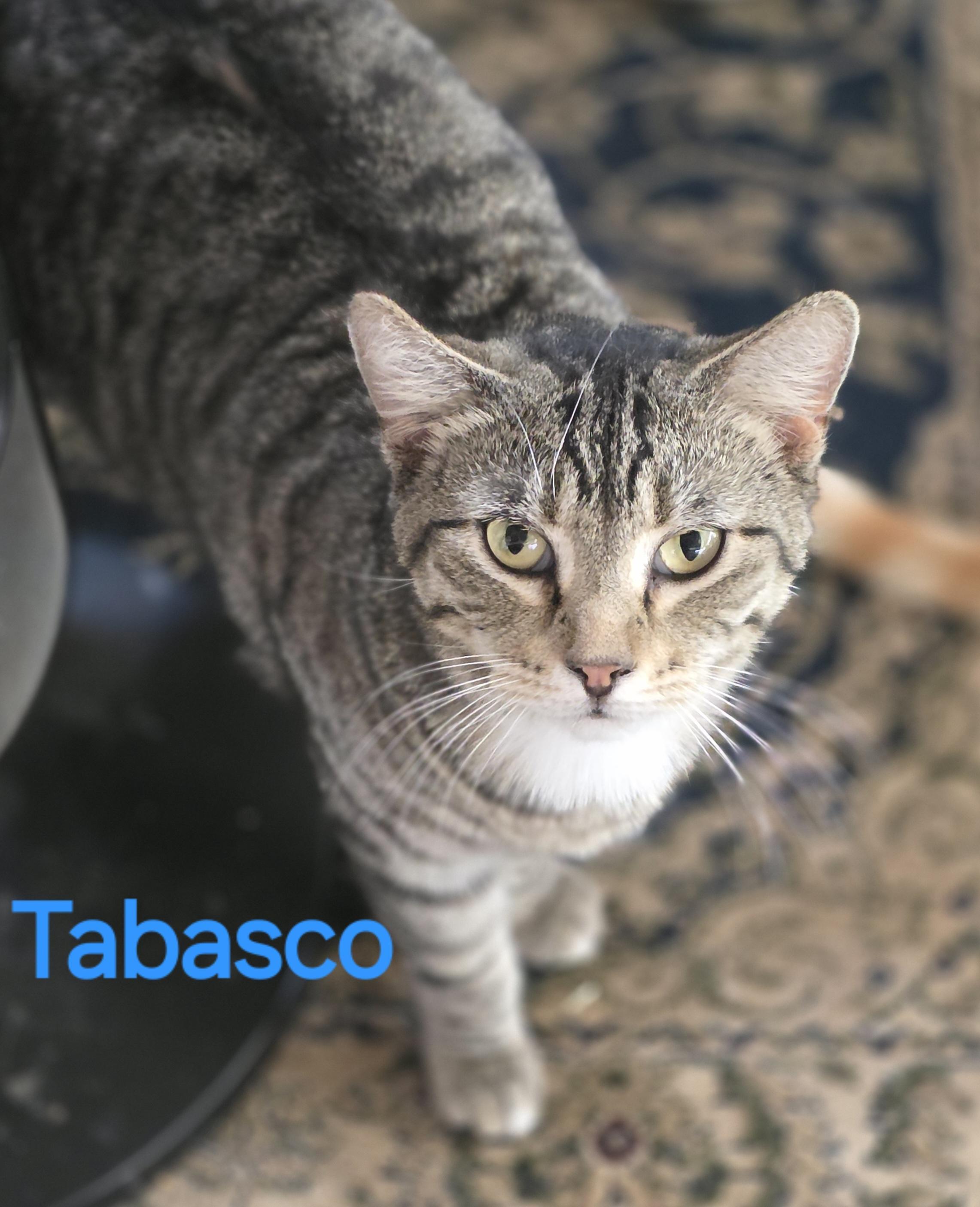 Tabasco