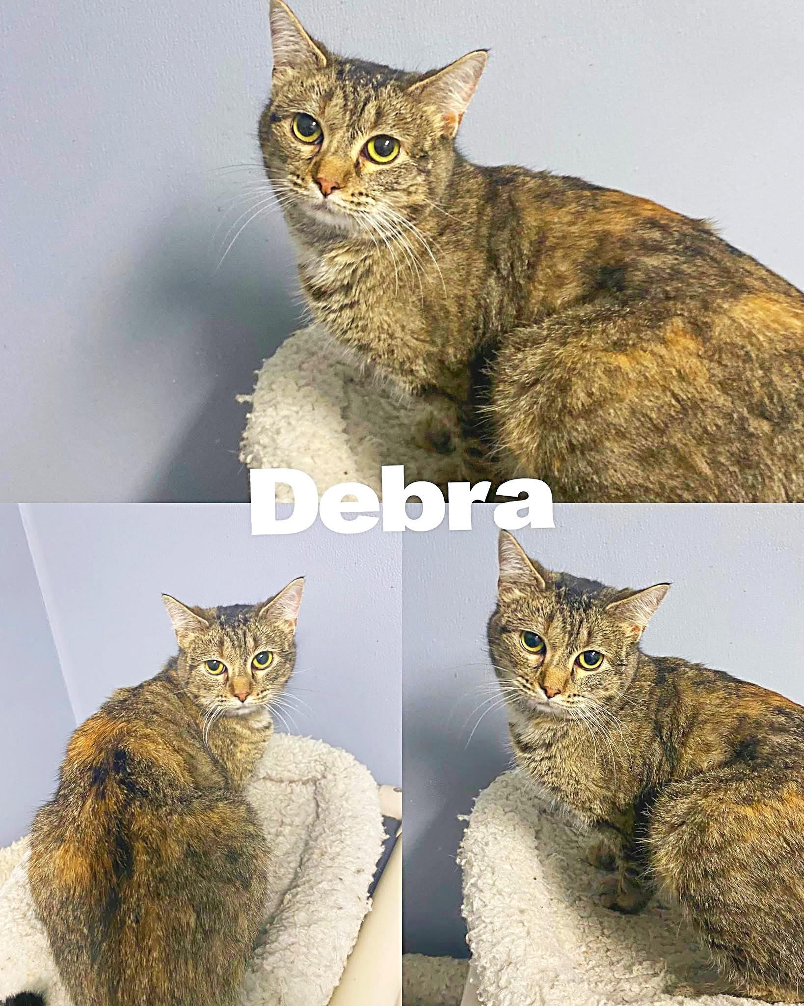 Debra