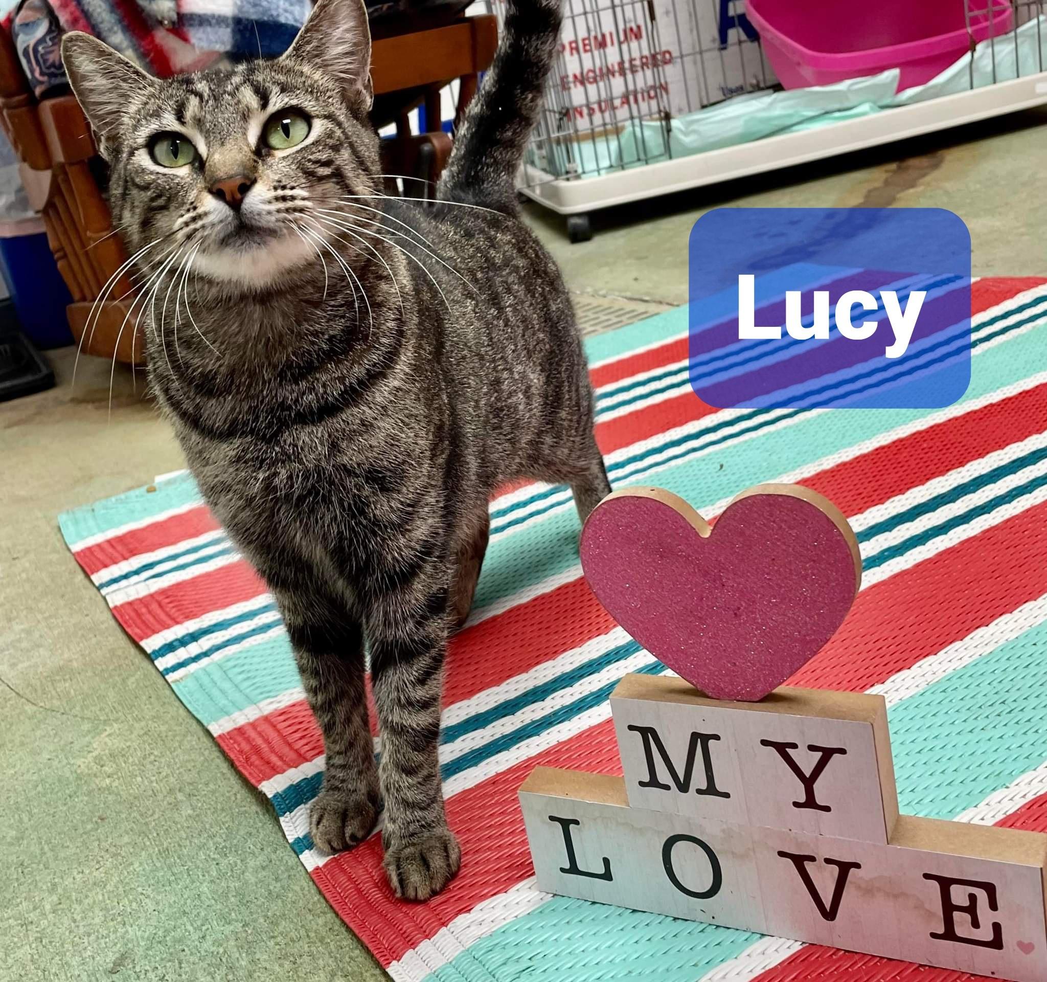 Lucy
