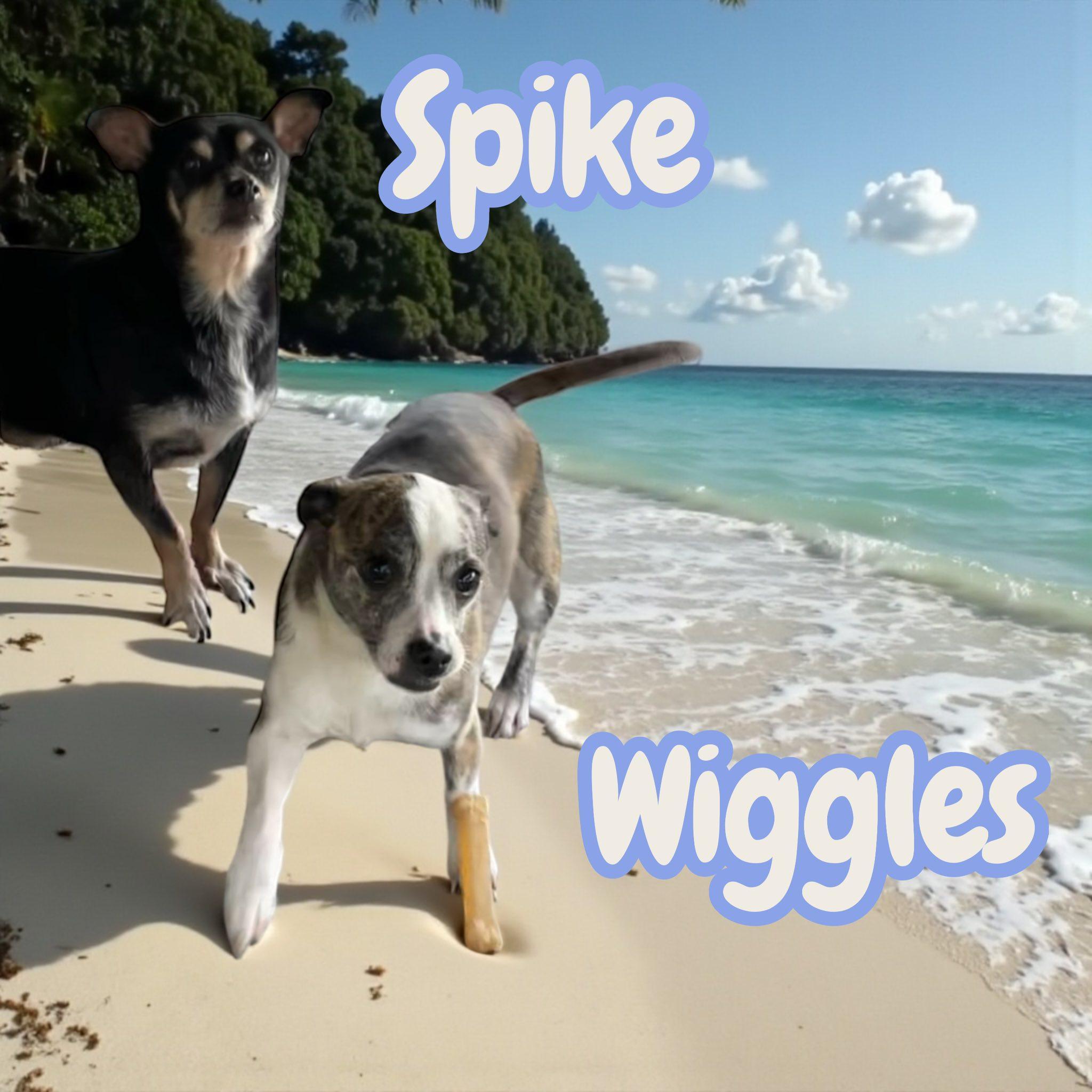 Spike & Wiggles Sc