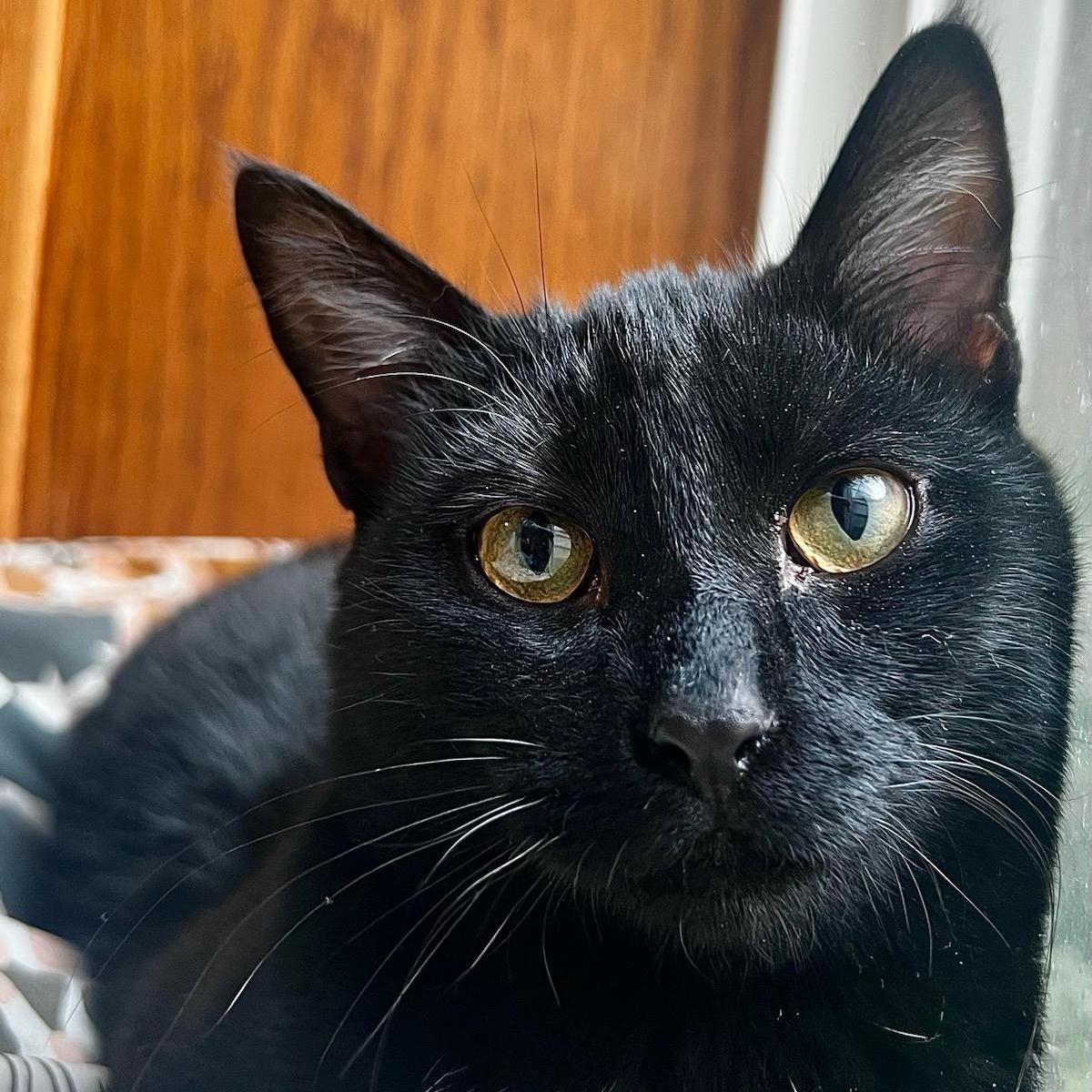 Lleyton With Patrick