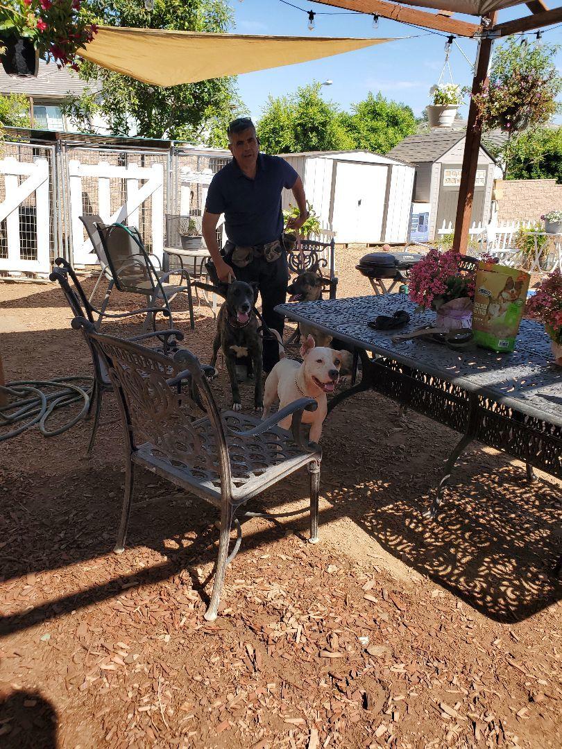 John Malkovich Completed