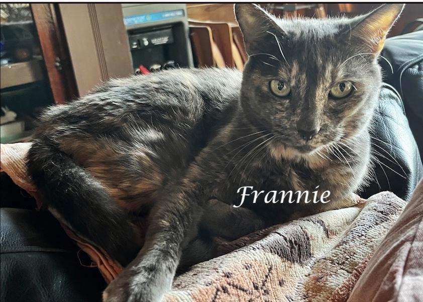 Frannie