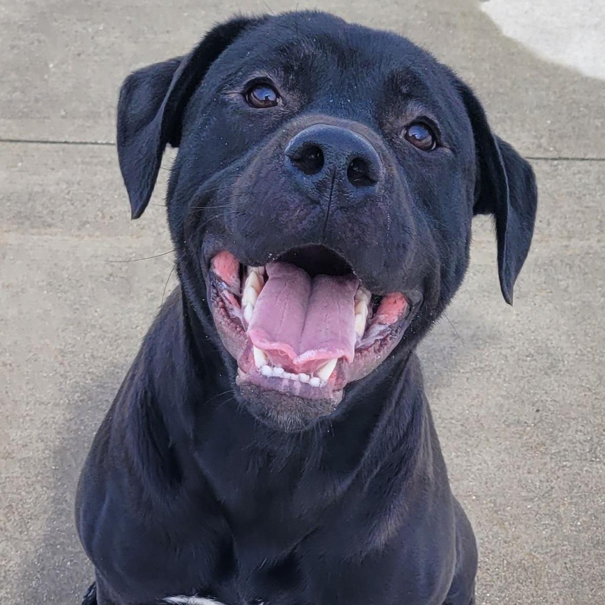 Finnegan! Goofy Young Guy!