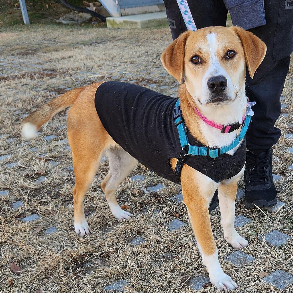 Ginger Rogers photo 1