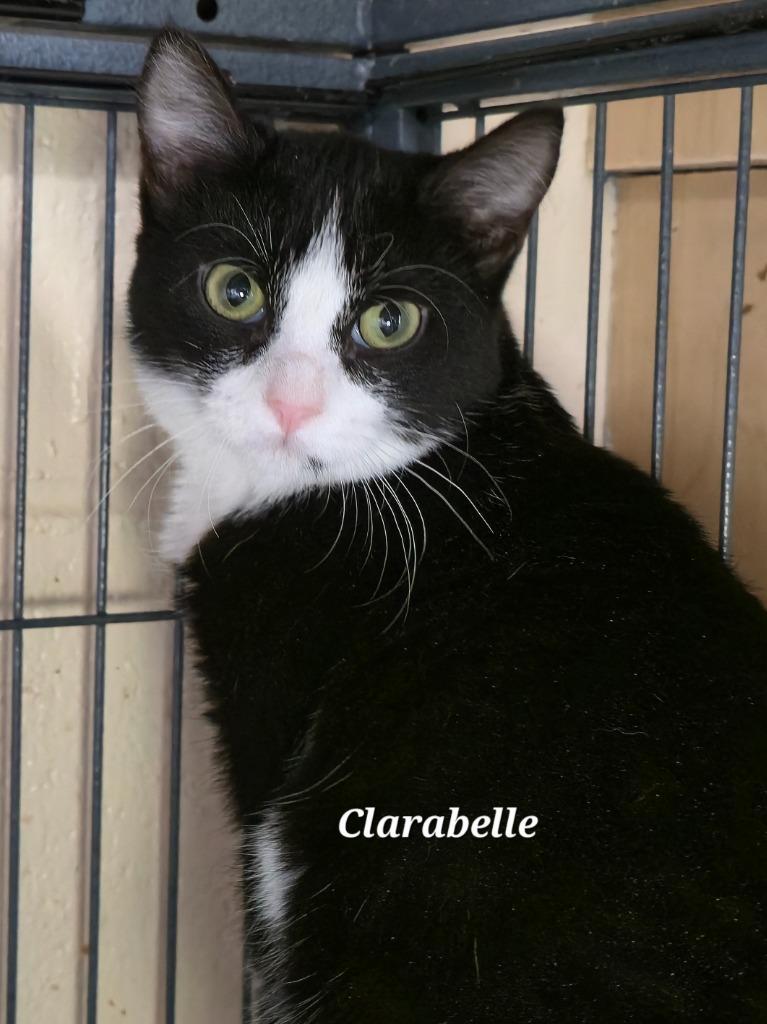 Clarabelle