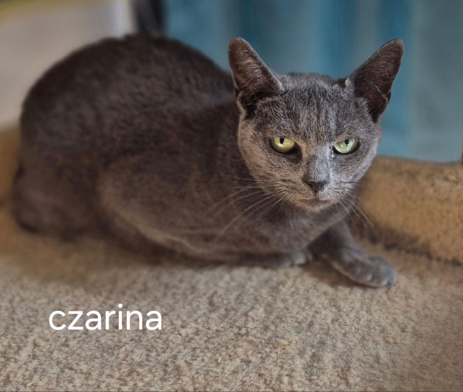 Czarina