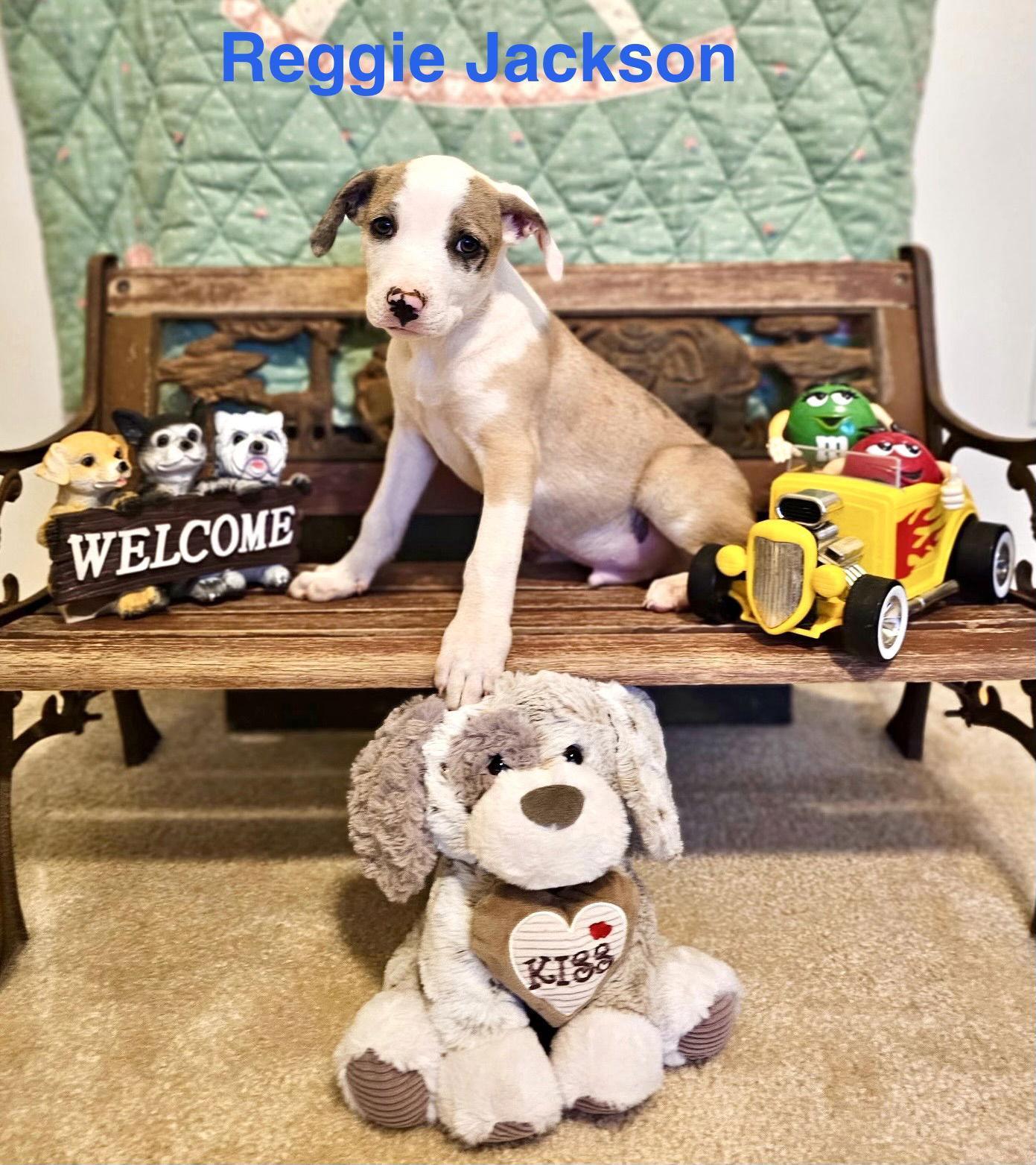 Reggie Jackson Lonestar