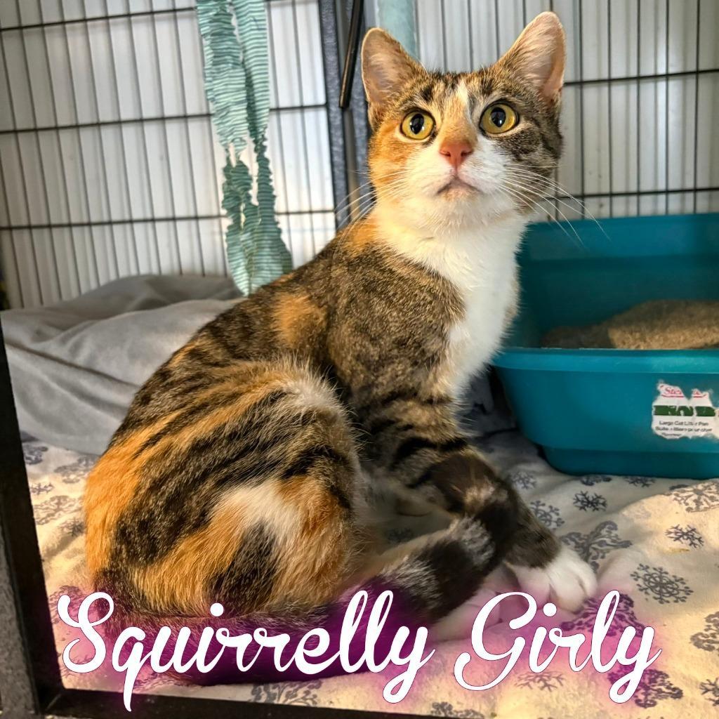 Squirrelly Girly