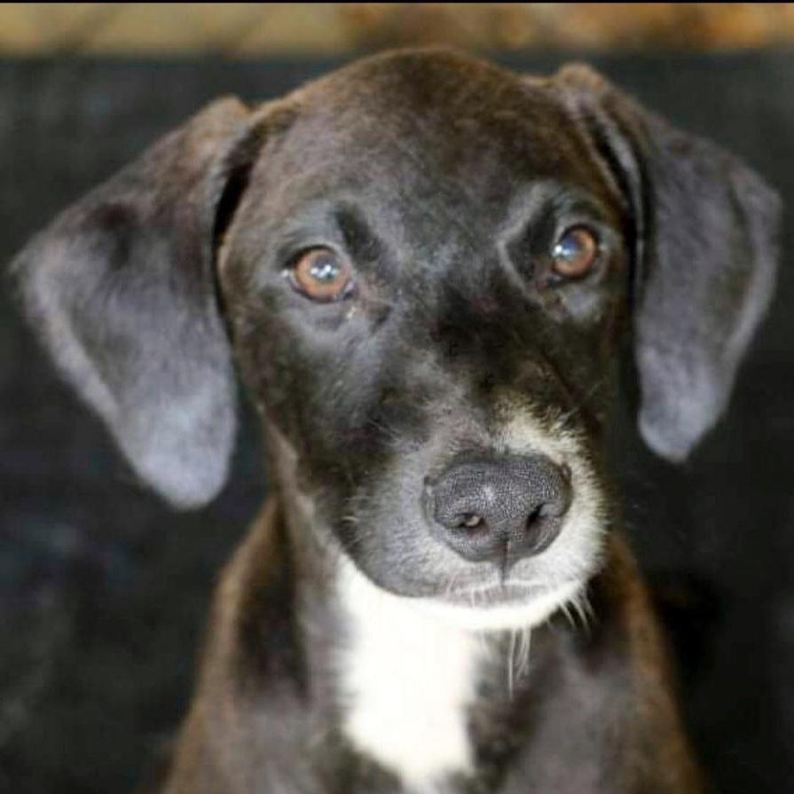 Ben "happygoluckykindofguy!"