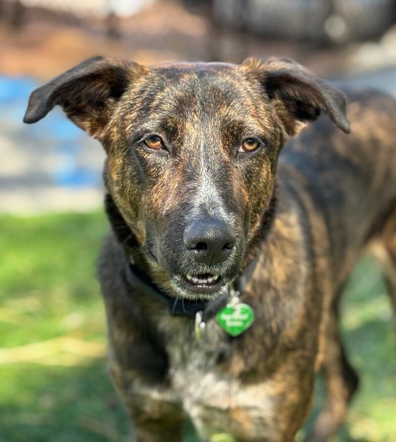 Mary Puppins photo 1