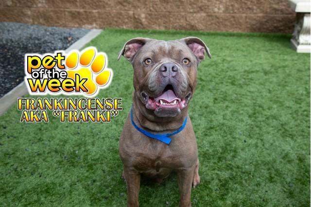 Urgent! Save Me Please!