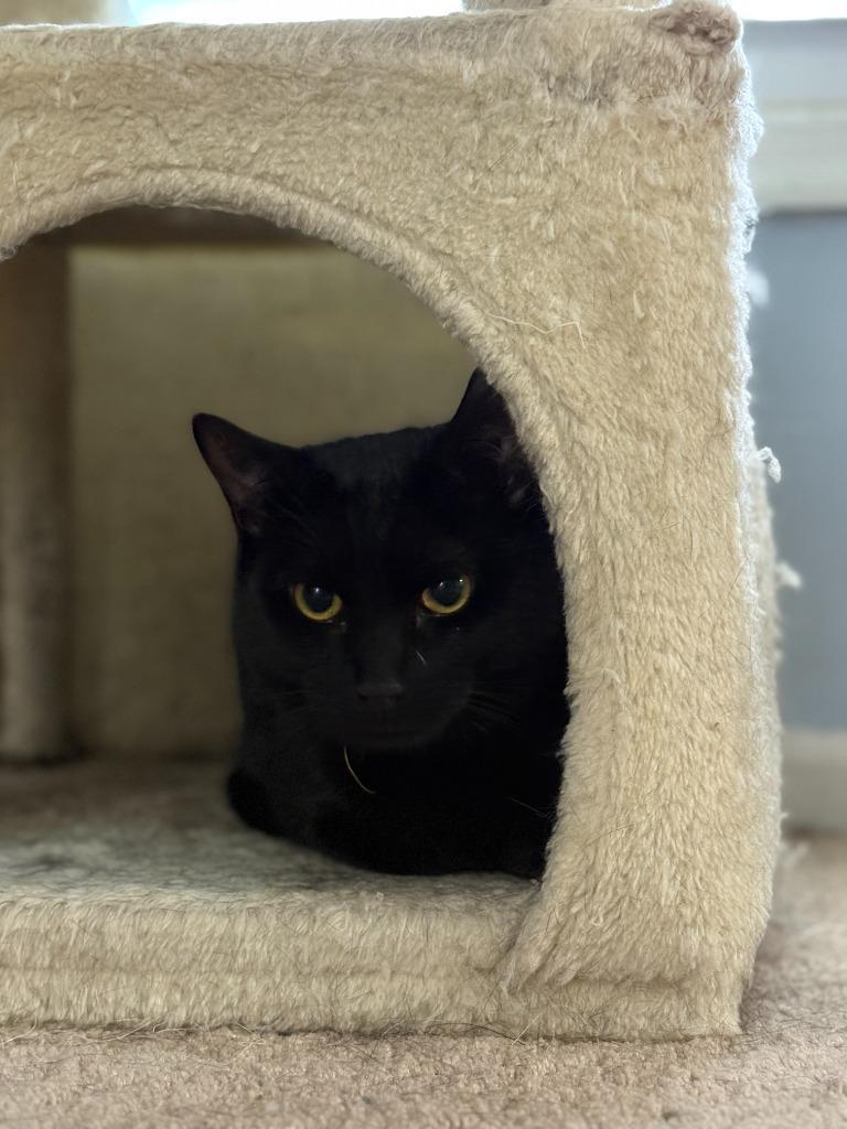 Shawn Hunter photo 1