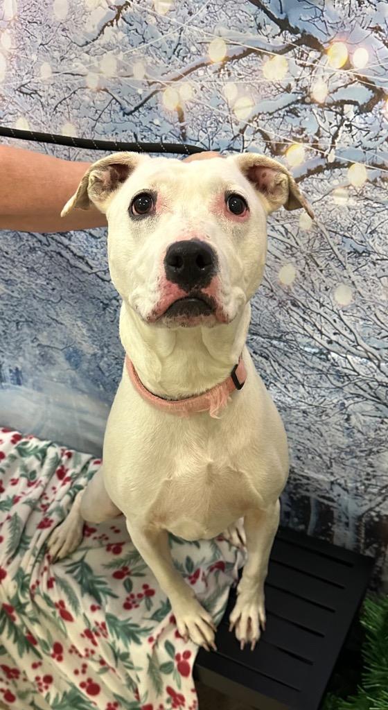 Ghost Sponsored By River