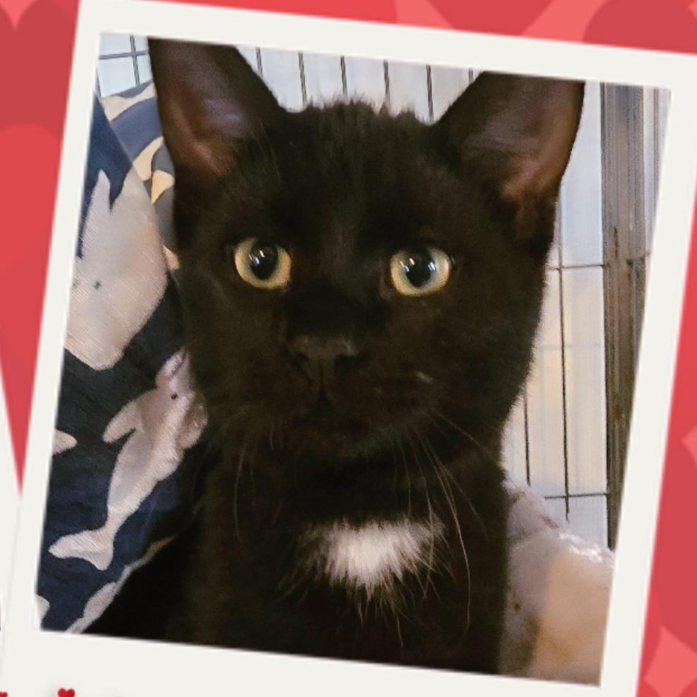 Justin Bieber photo 1