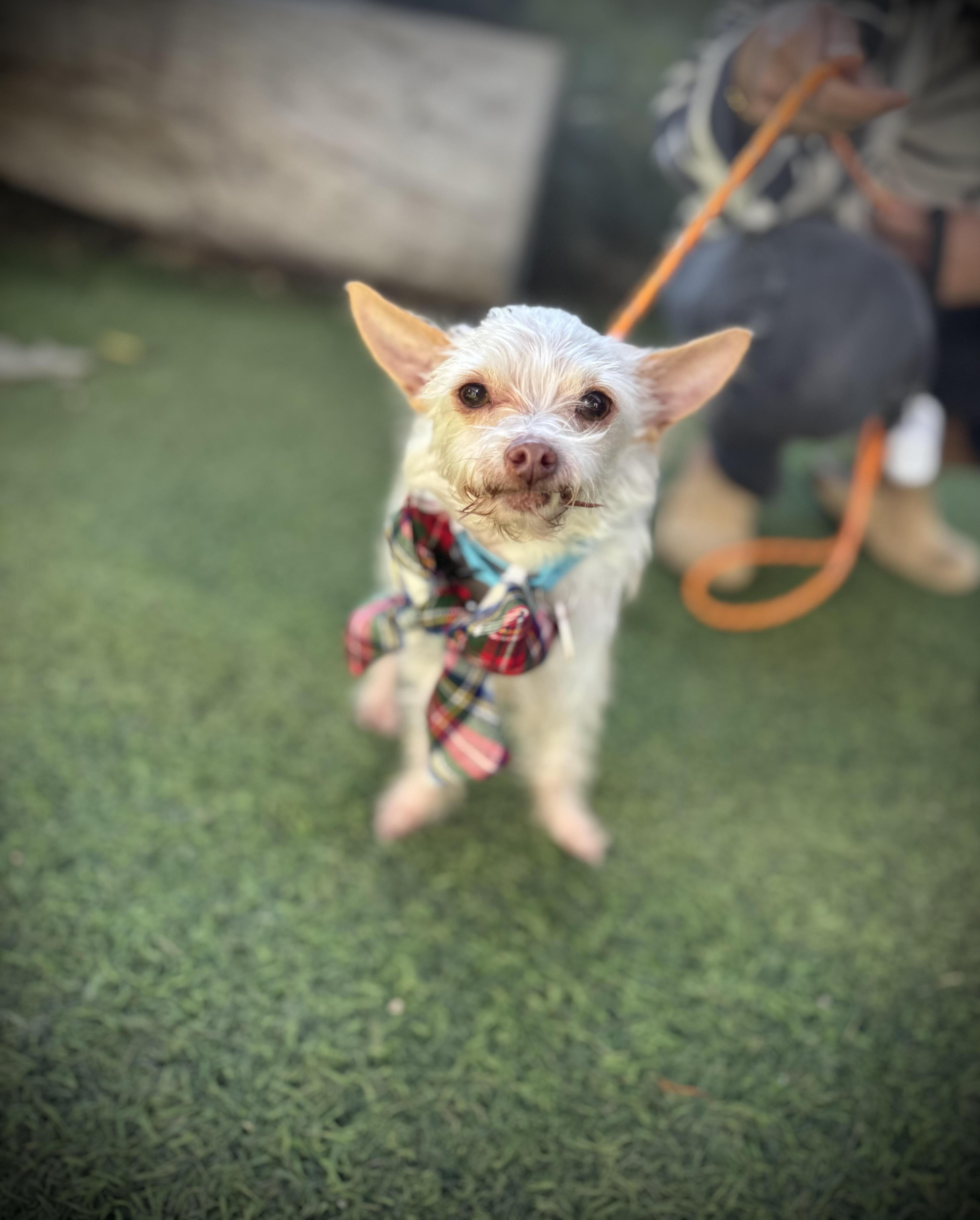 Mick Shrimpton Loves Everyone!