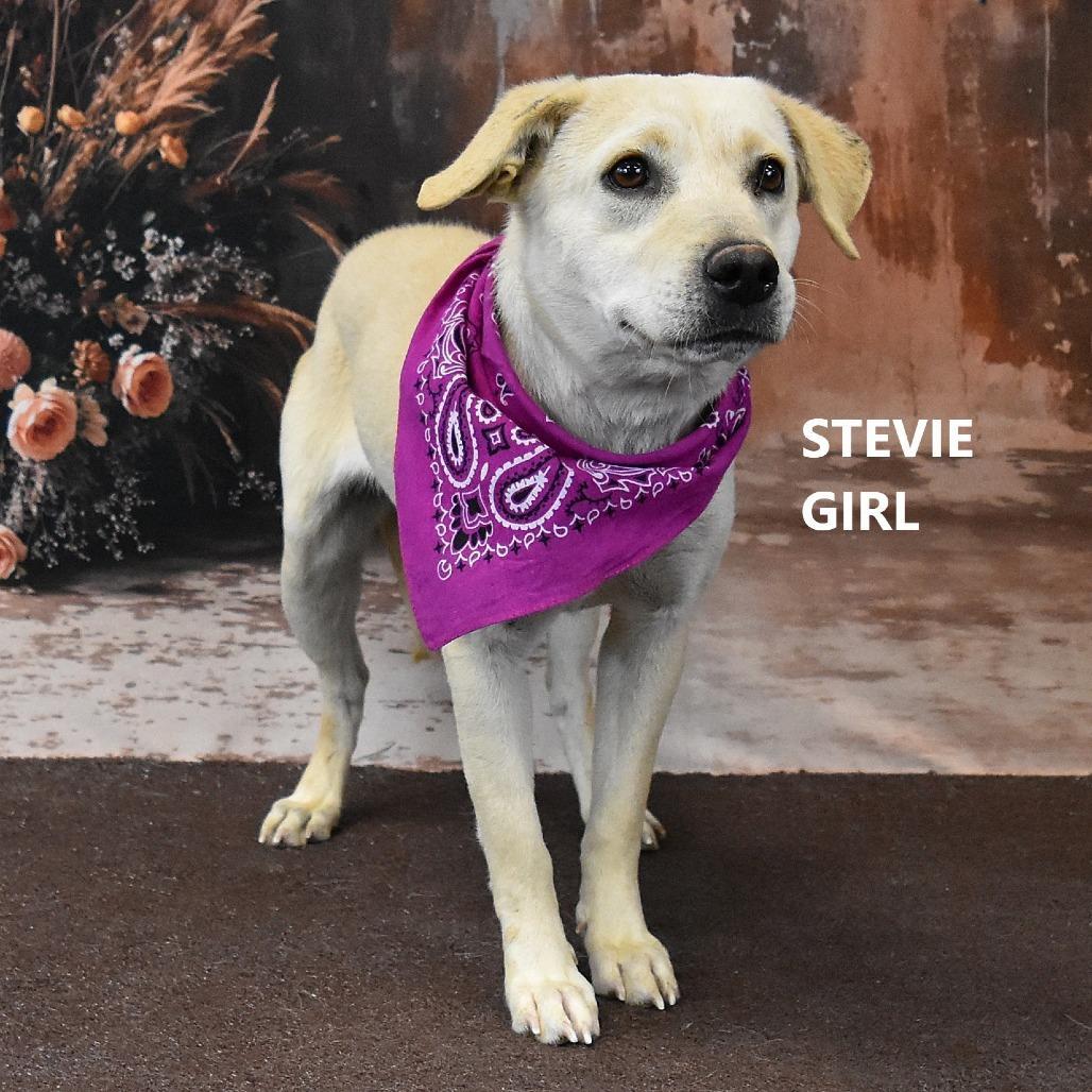 Stevie Girl