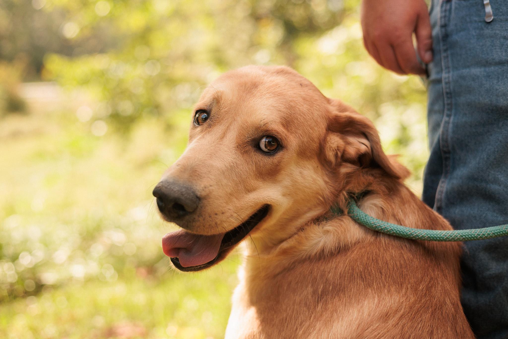 Chug Transport photo 1