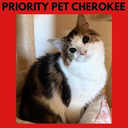 Cherokee `a Priority