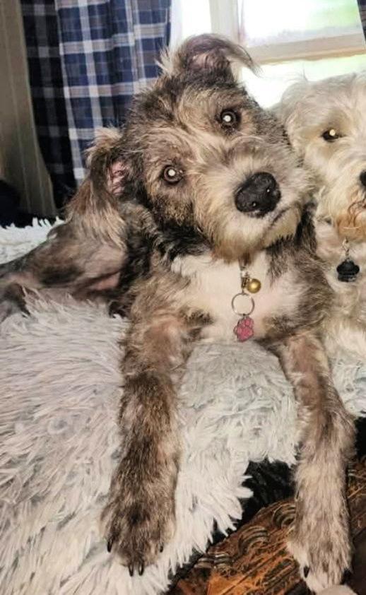 Princess Lia photo 1