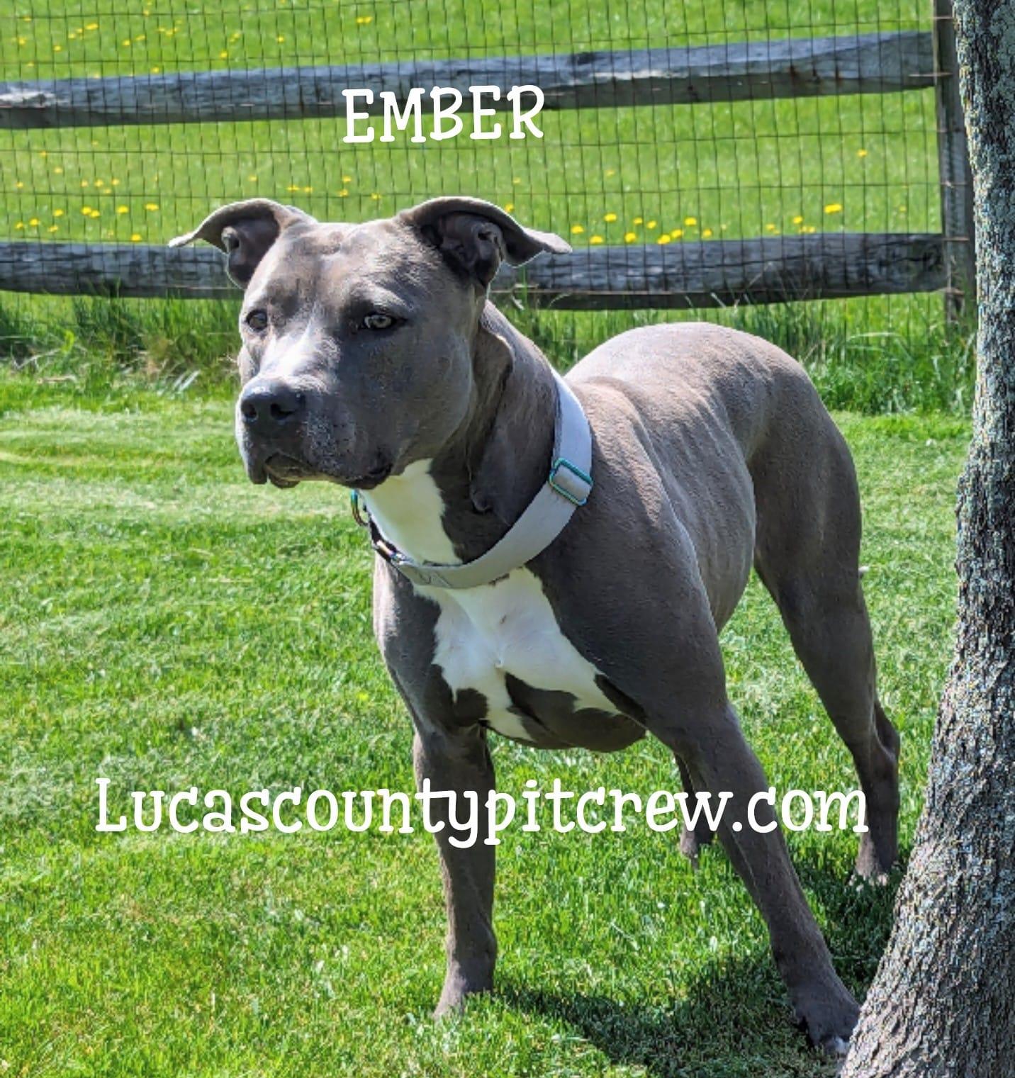 Ember