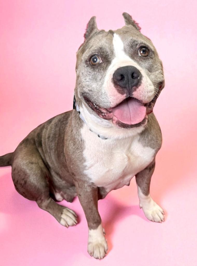 Scrumpdillyumptious "dilly