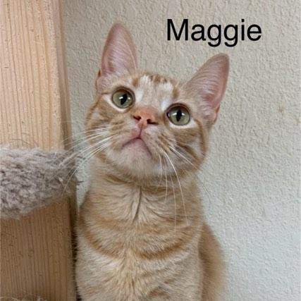 Maggie