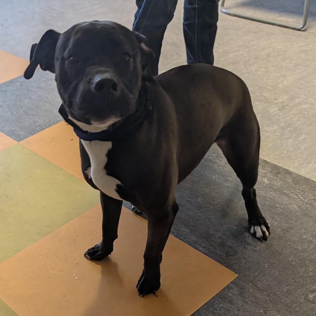 Tootsie Roll photo 1