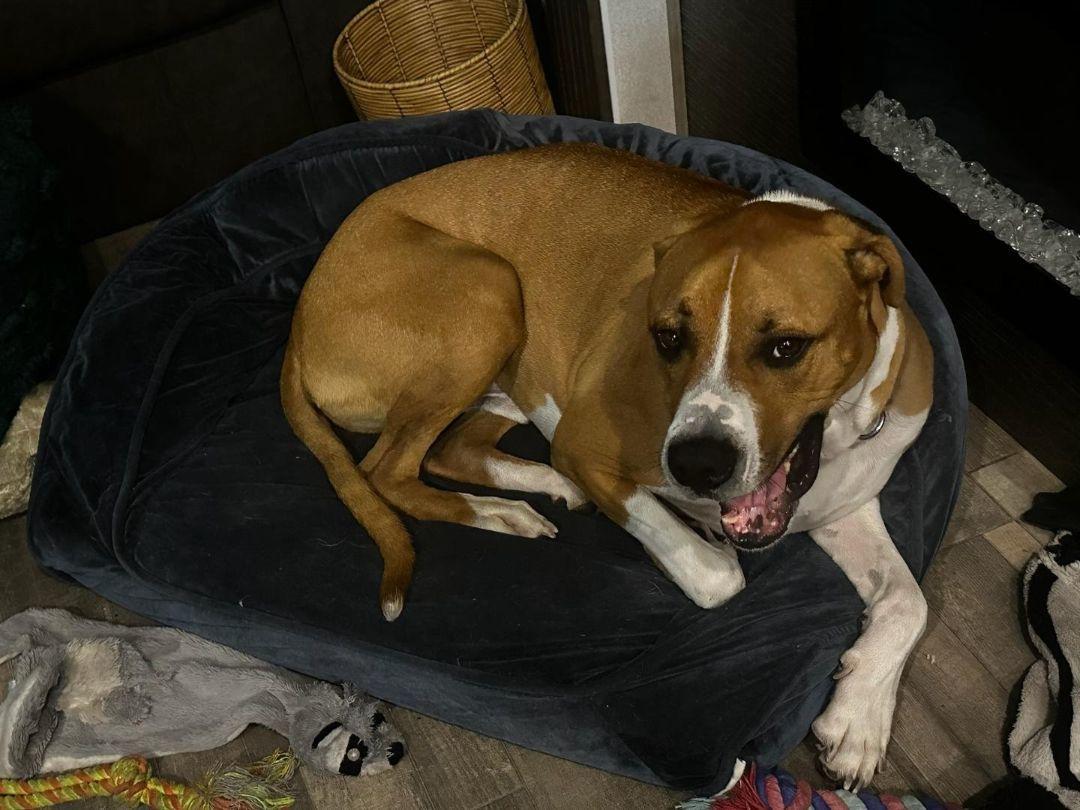 Prince The Legend!!!