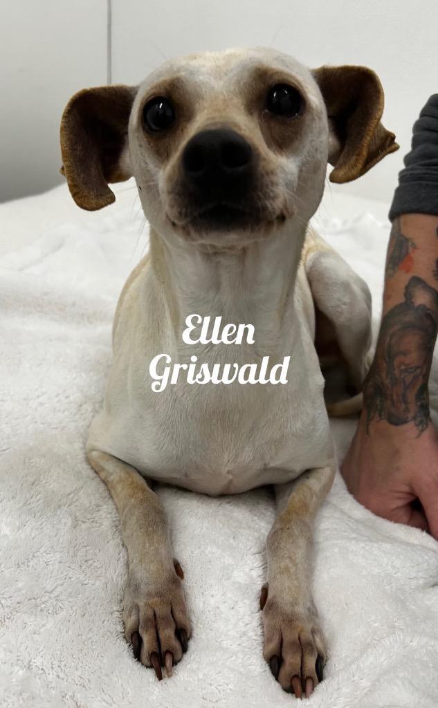 Ellen Griswold photo 1