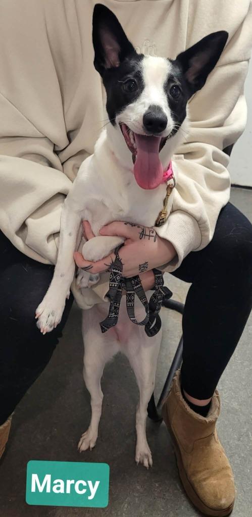 Marcy photo 1