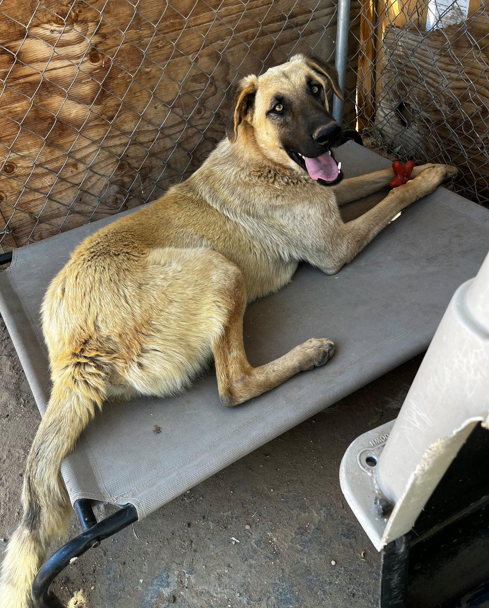 Corky Wonderful Pal!