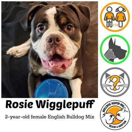 Rosie Wigglepuff