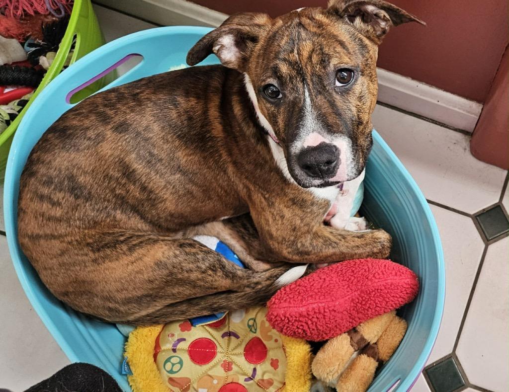 Sarabi Hernando Local photo 1