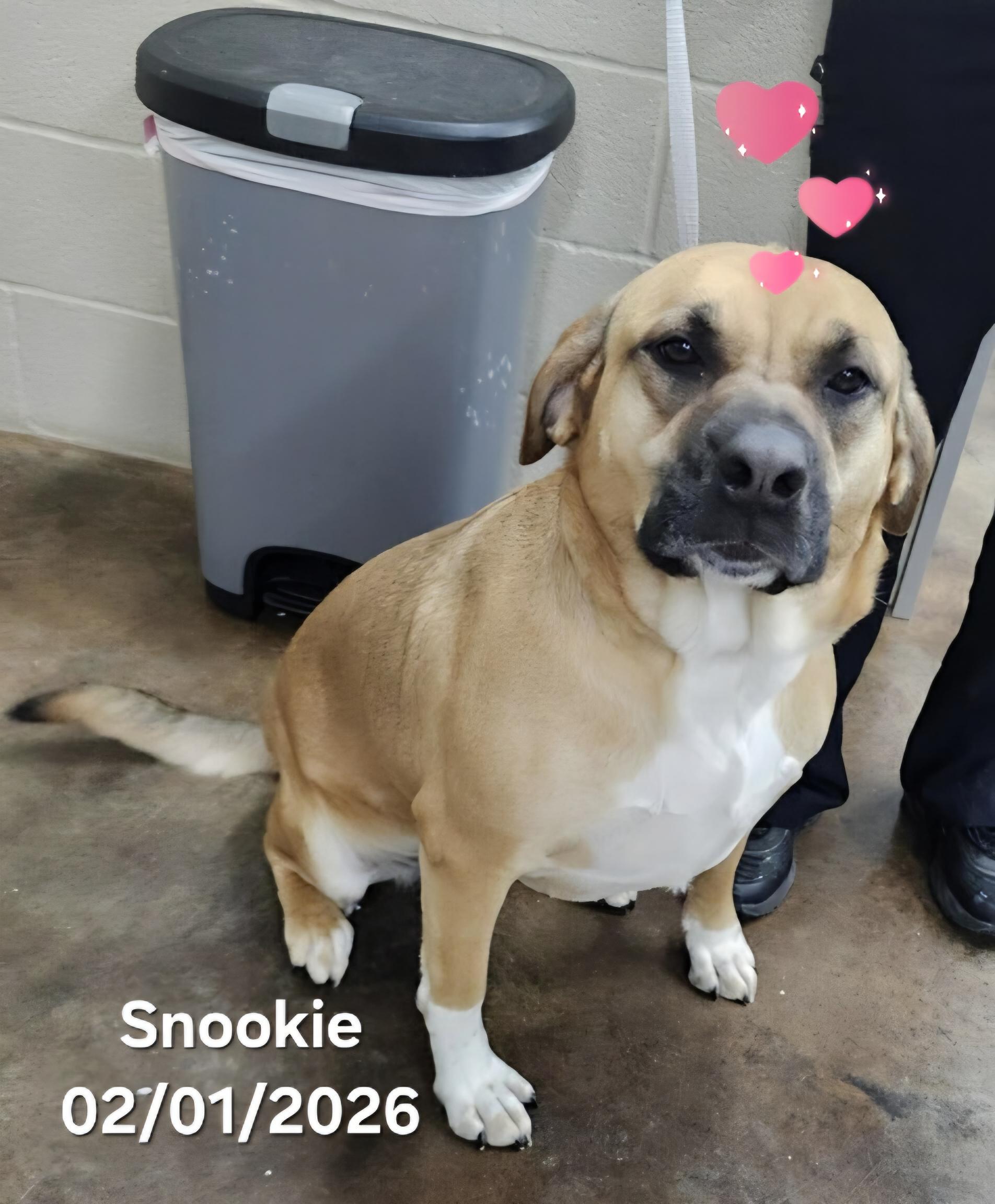 Snookie And Peaches Bonded