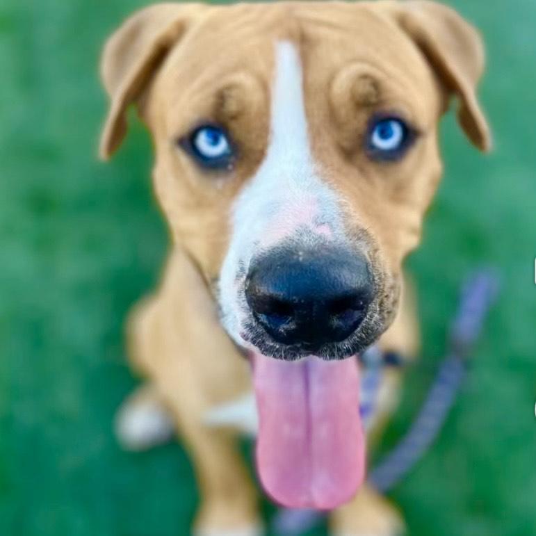 Fettifun Loving photo 1