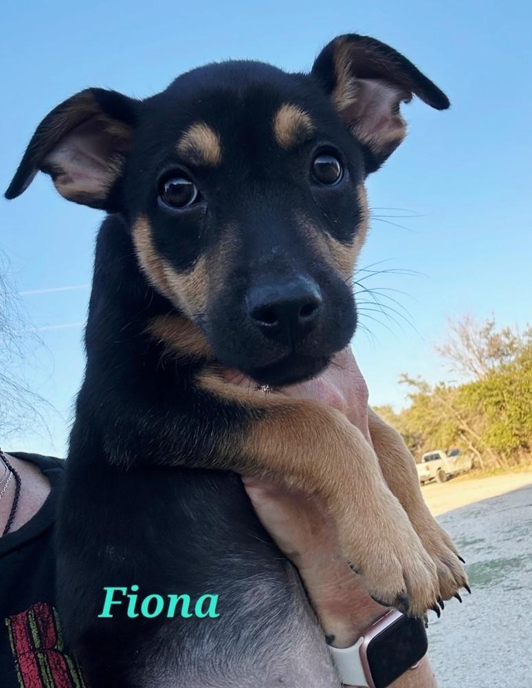 Fiona
