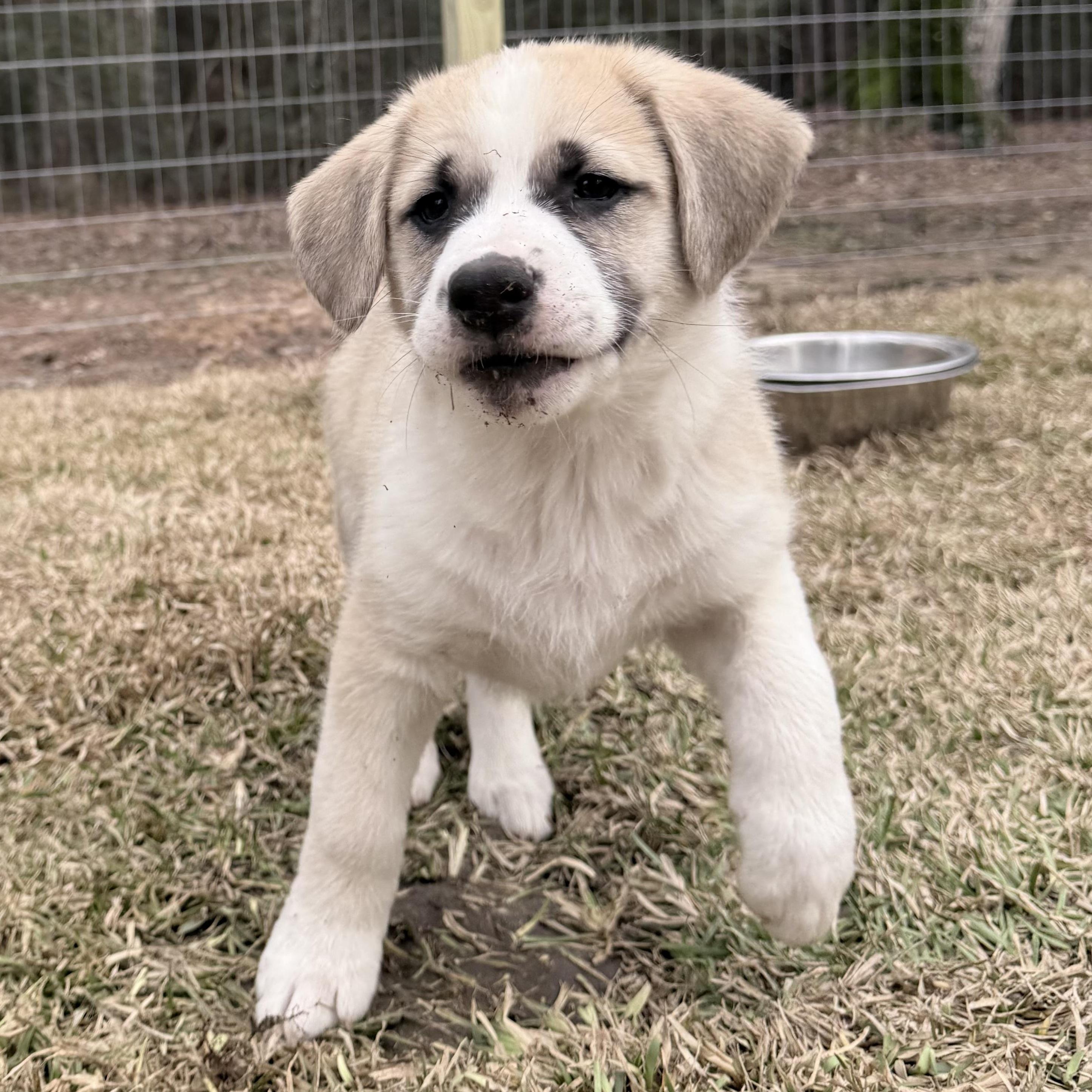 John Lukethe Sweetest Little