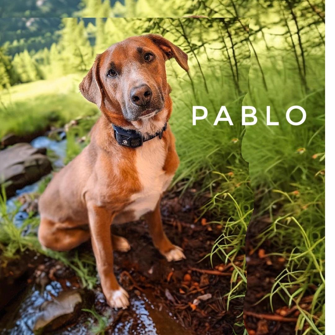 Pablo