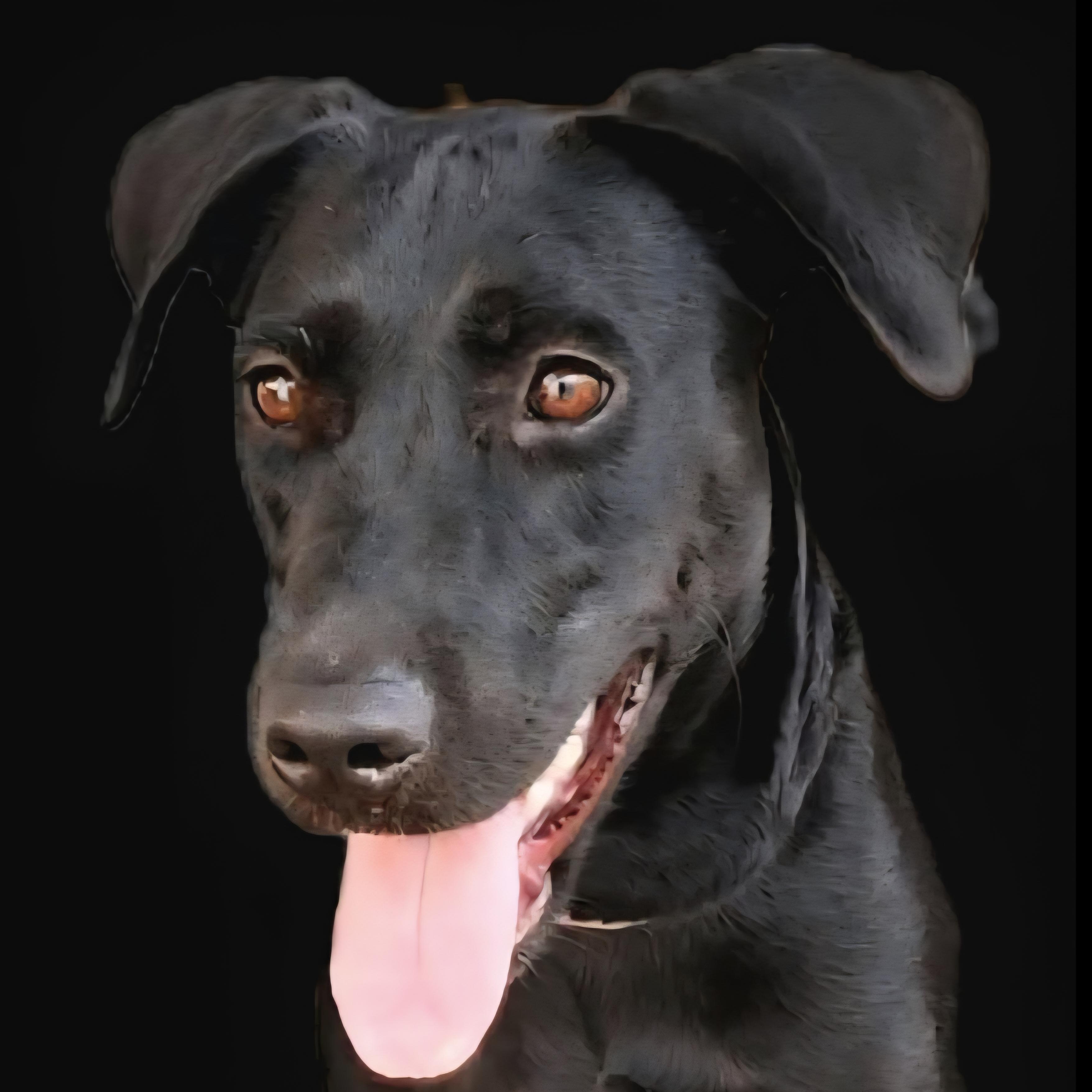 Luna Ray "your Sunshine."