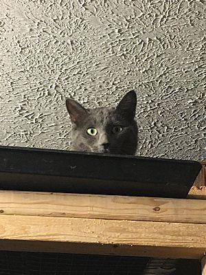 Max Bonded With Nicky