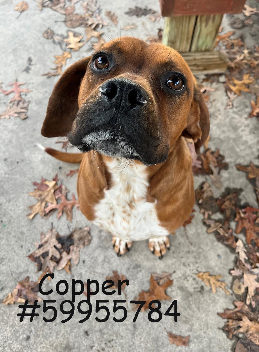 Copper