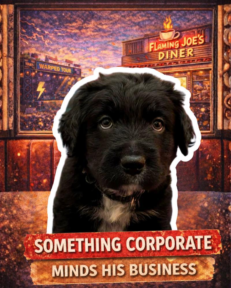 Something Corporate photo 1