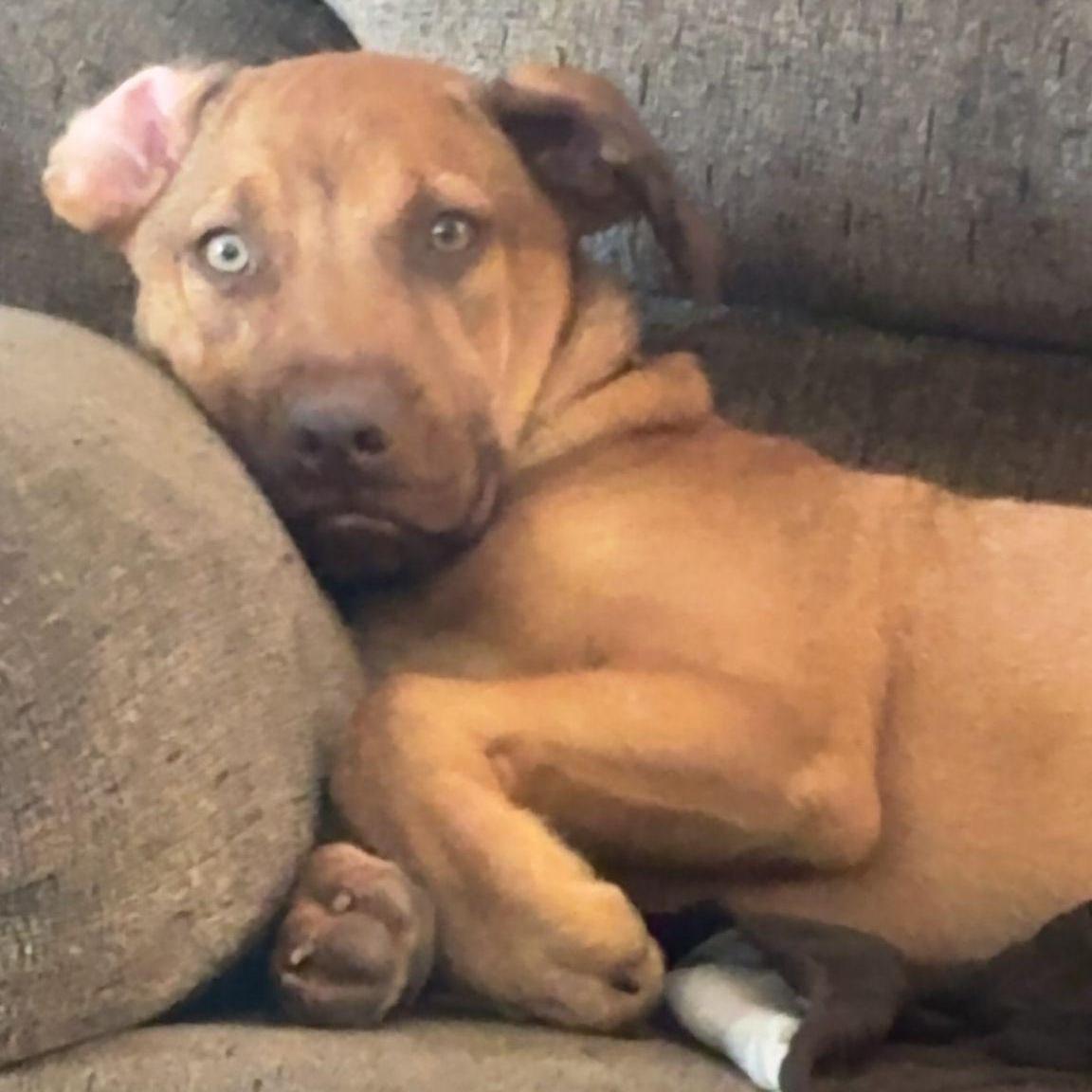 Camelot "your Heart's Desire."