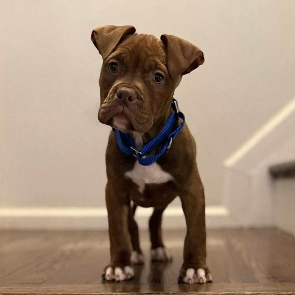 Betty Lou Who photo 1