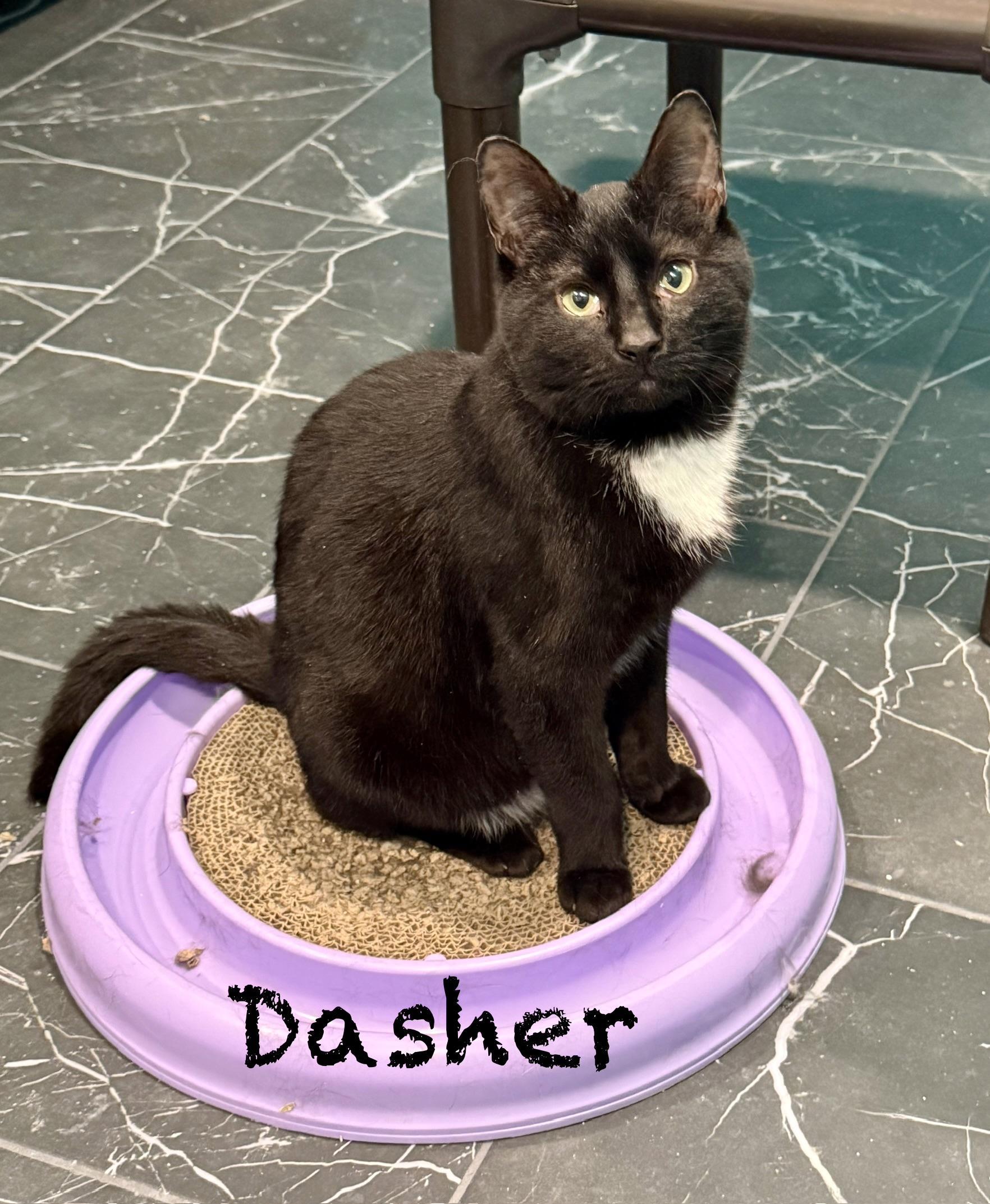 Dasher