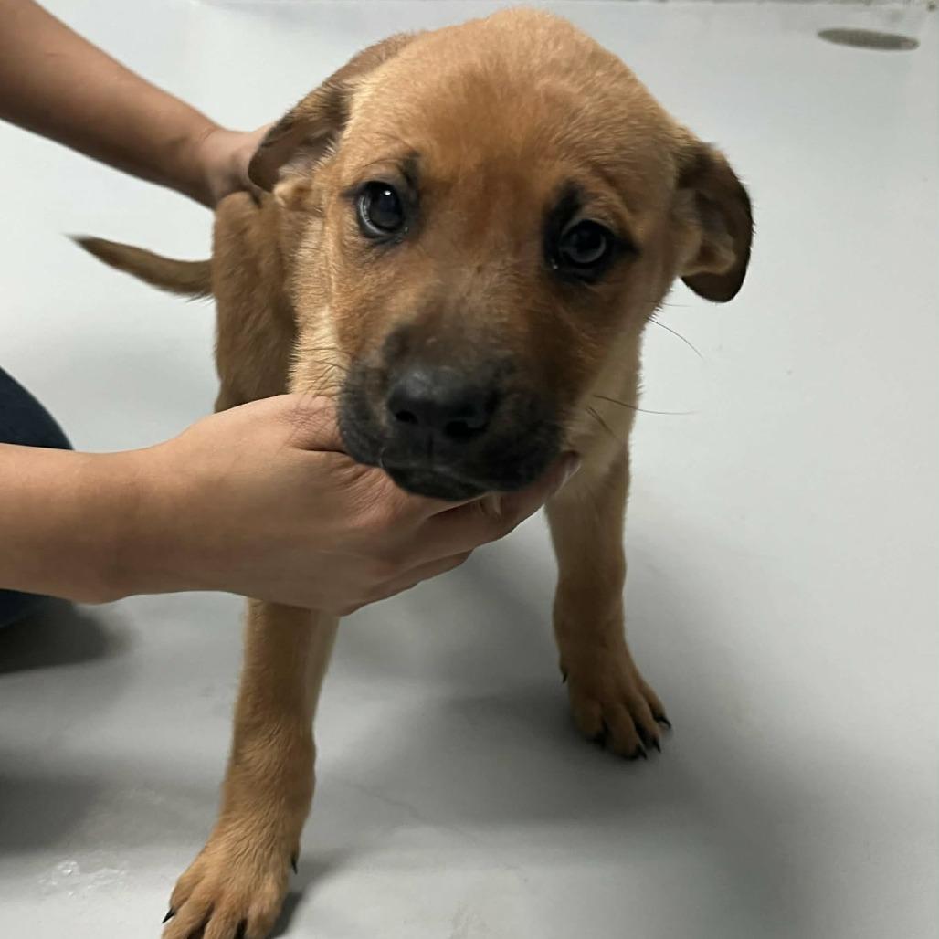 Kissymissy D Arriving