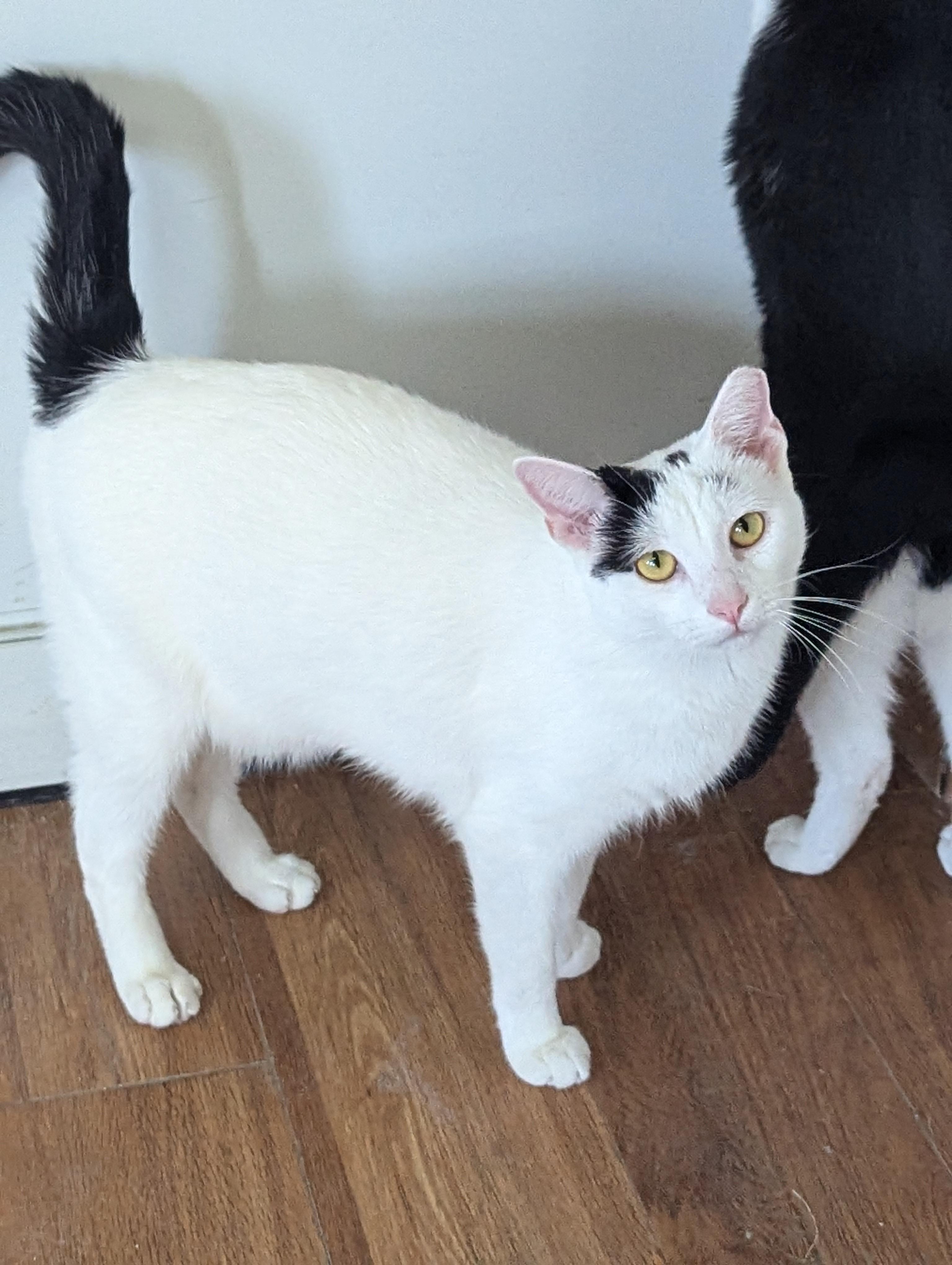 Captain Morgan photo 1